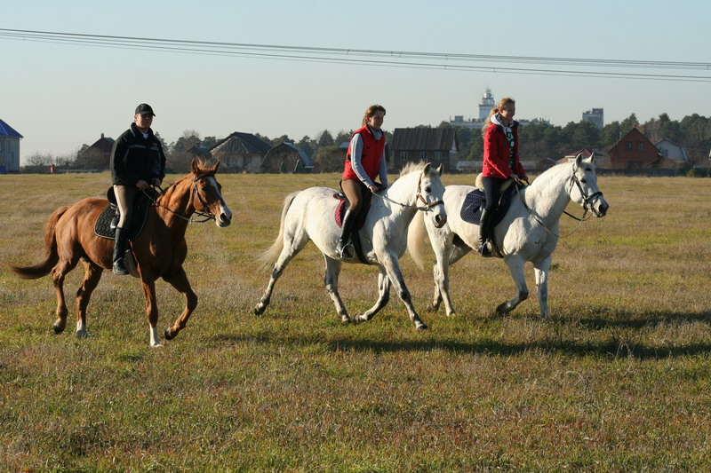 IMG_1043.jpg1.jpg"%20height="533"%20width="800